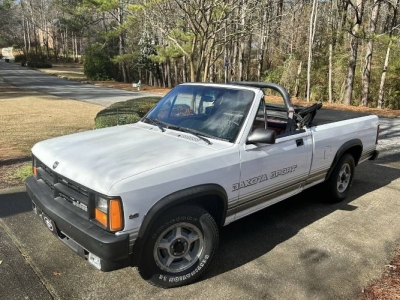 1989 Dodge Dakota for sale