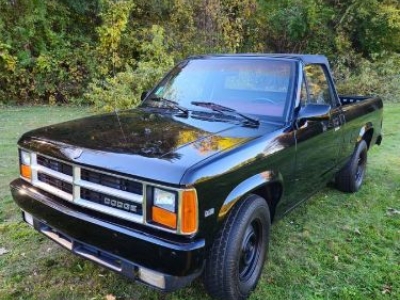 1989 Dodge Dakota for sale