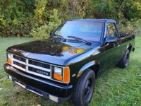1989 Dodge Dakota for sale in Michigan (ID-135590)