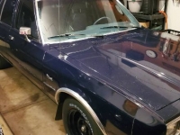 1989 Dodge Diplomat for sale in Michigan (ID-126865)