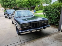 1989 Dodge Diplomat for sale in Michigan (ID-126865)