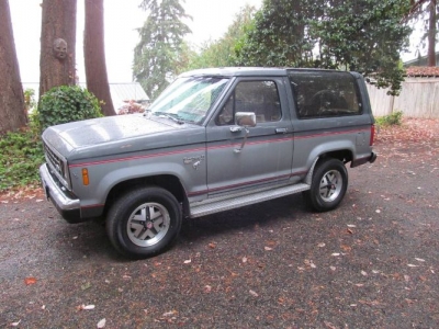 1989 Ford Bronco for sale