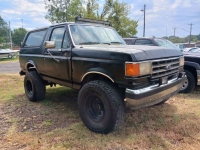 1989 Ford Bronco for sale in Michigan (ID-126400)