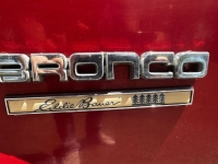 1989 Ford Bronco for sale in Michigan (ID-131220)