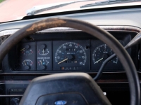 1989 Ford Bronco for sale (ID-135027)