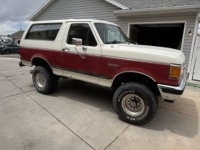 1989 Ford Bronco for sale in Michigan (ID-161758)