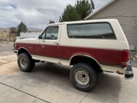 1989 Ford Bronco for sale in Michigan (ID-161758)