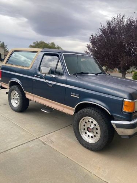 1989 Ford Bronco for sale in Michigan (ID-162299)