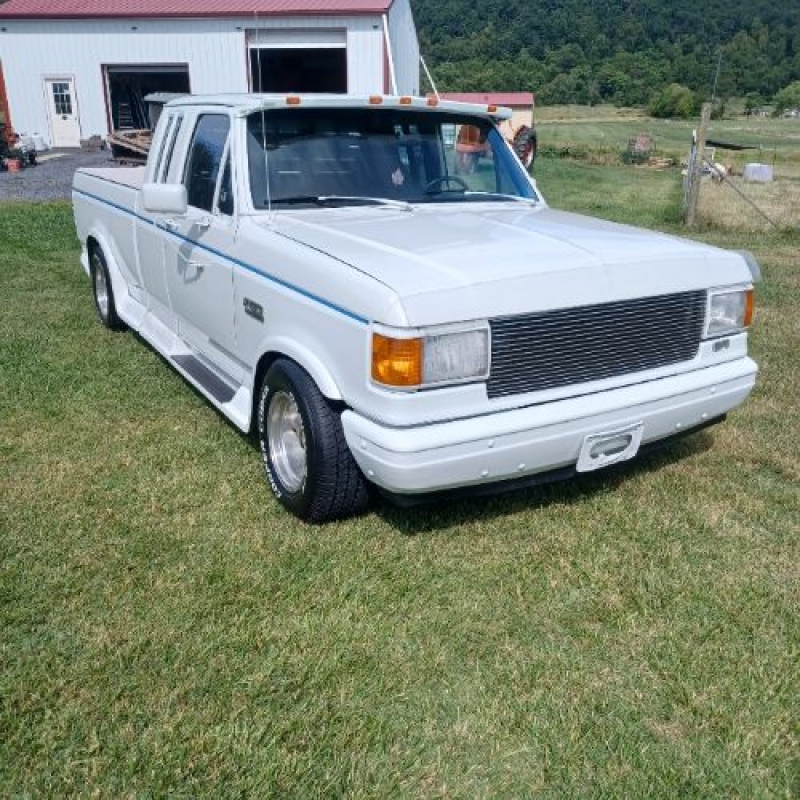 1989 Ford F150 for sale in Michigan (ID-122581) 1989 Ford F150 for sale in Michigan (ID-122581)