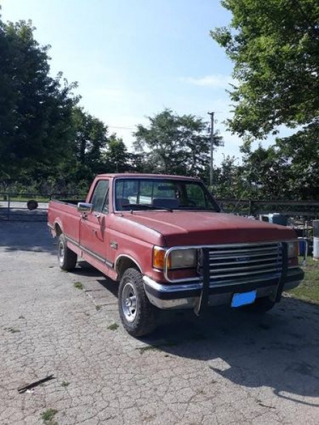 1989 Ford F150 for sale in Michigan (ID-123051) 1989 Ford F150 for sale in Michigan (ID-123051)