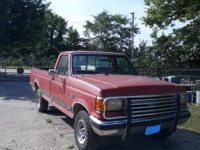 1989 Ford F150 for sale in Michigan (ID-123051)