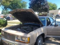 1989 Ford LTD for sale in Michigan (ID-108913)