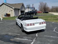 1989 Ford Mustang for sale in Michigan (ID-116292)