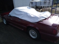 1989 Ford Mustang for sale in Michigan (ID-120931)