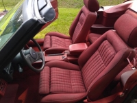 1989 Ford Mustang for sale in Michigan (ID-120931)