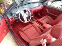 1989 Ford Mustang for sale in Michigan (ID-120931)