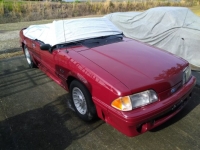1989 Ford Mustang for sale in Michigan (ID-120931)