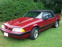 1989 Ford Mustang for sale in Michigan (ID-123339)