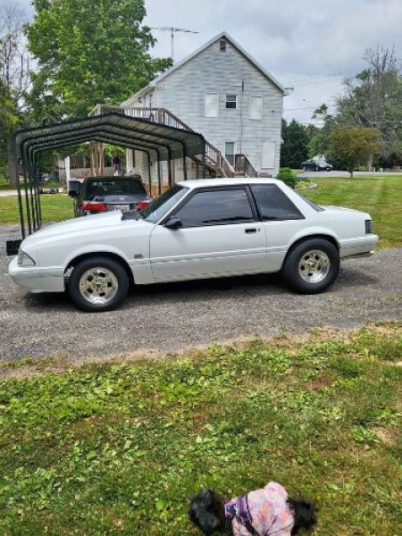1989 Ford Mustang for sale in Michigan (ID-123438)