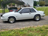 1989 Ford Mustang for sale in Michigan (ID-123438)