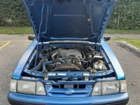 1989 Ford Mustang for sale in Riverhead, New York (ID-132686)