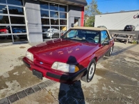 1989 Ford Mustang for sale in Riverhead, New York (ID-135281)