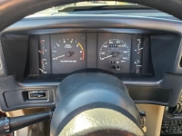 1989 Ford Mustang for sale in Michigan (ID-135555)