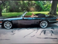 1989 Jaguar XJS for sale in Michigan (ID-95457)
