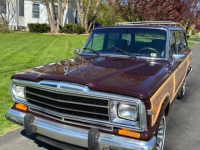 1989 Jeep Grand Wagoneer for sale