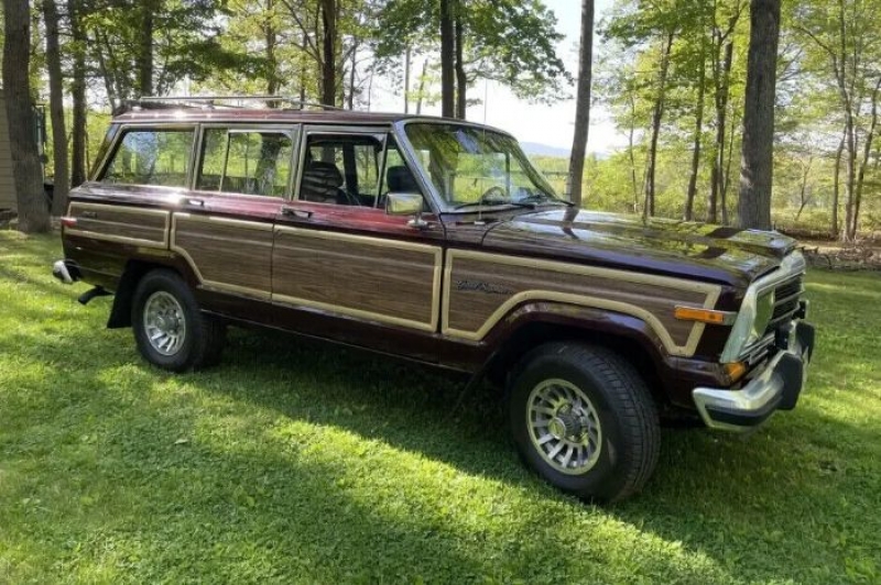 1989 Jeep Grand Wagoneer for sale in Michigan (ID-103621)