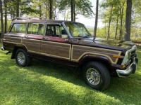 1989 Jeep Grand Wagoneer for sale in Michigan (ID-103621)