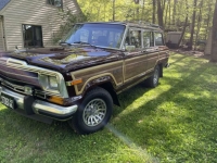 1989 Jeep Grand Wagoneer for sale in Michigan (ID-103621)
