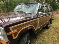1989 Jeep Grand Wagoneer for sale in Michigan (ID-103621)