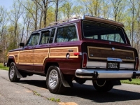 1989 Jeep Grand Wagoneer for sale in Michigan (ID-103621)