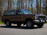 1989 Jeep Grand Wagoneer for sale in Michigan (ID-103621)