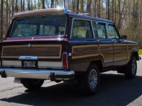 1989 Jeep Grand Wagoneer for sale in Michigan (ID-103621)