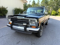 1989 Jeep Grand Wagoneer for sale in Michigan (ID-143359)
