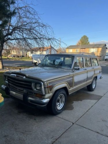 1989 Jeep Grand Wagoneer for sale in Michigan (ID-155174)