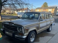 1989 Jeep Grand Wagoneer for sale in Michigan (ID-155174)