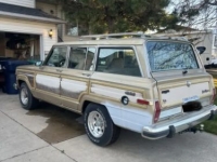 1989 Jeep Grand Wagoneer for sale in Michigan (ID-155174)