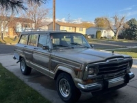 1989 Jeep Grand Wagoneer for sale in Michigan (ID-155174)