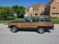 1989 Jeep Grand Wagoneer for sale in Michigan (ID-163754)