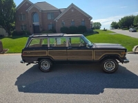 1989 Jeep Grand Wagoneer for sale in Michigan (ID-163754)