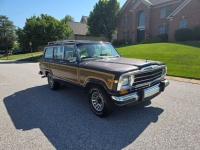 1989 Jeep Grand Wagoneer for sale in Michigan (ID-163754)