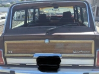1989 Jeep Grand Wagoneer for sale in Michigan (ID-164081)