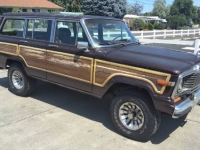1989 Jeep Grand Wagoneer for sale in Michigan (ID-164081)