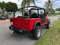 1989 Jeep Wrangler for sale in Michigan (ID-114019)