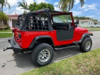 1989 Jeep Wrangler for sale in Michigan (ID-114019)