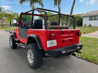1989 Jeep Wrangler for sale in Michigan (ID-114019)