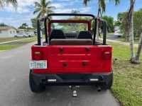 1989 Jeep Wrangler for sale in Michigan (ID-114019)
